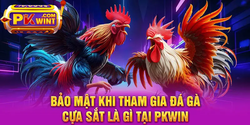 Bảo mật khi tham gia đá gà cựa sắt là gì tại PKWIN