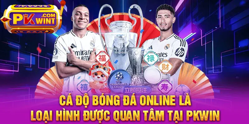 Cá độ bóng đá online là loại hình được quan tâm tại PKWIN