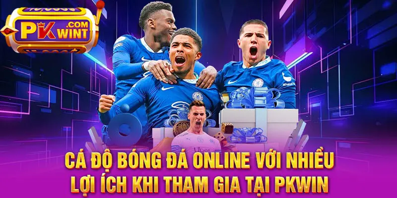 Cá độ bóng đá online với nhiều lợi ích khi tham gia tại PKWIN
