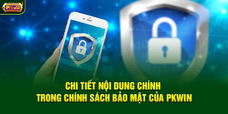 Chi tiết nội dung chính trong chính sách bảo mật của PKWIN