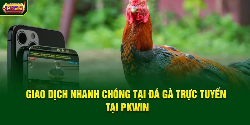 Giao dịch nhanh chóng tại đá gà trực tuyến tại PKWin