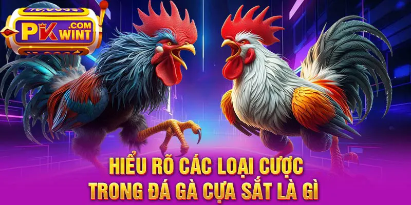 Hiểu rõ các loại cược trong đá gà cựa sắt là gì