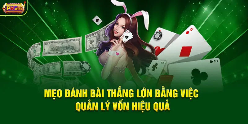Mẹo đánh bài thắng lớn bằng việc quản lý vốn hiệu quả