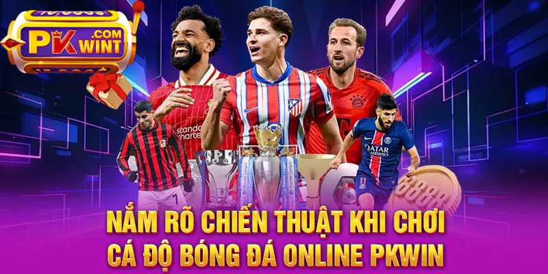 Nắm rõ chiến thuật khi chơi cá độ bóng đá online PKWIN