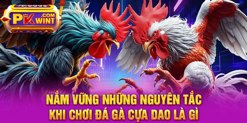 Nắm vững những nguyên tắc khi chơi đá gà cựa dao là gì