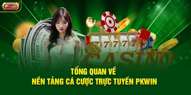 Tổng quan về nền tảng cá cược trực tuyến PKWIN