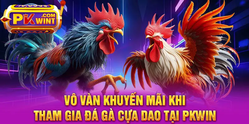 Vô càn khuyến mãi khi tham gia đá gà cựa dao tại PKWIN