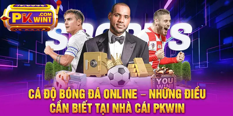 Cá Độ Bóng Đá Online – Những Điều Cần Biết Tại Nhà Cái