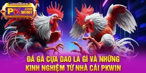 Đá Gà Cựa Dao Là Gì Và Những Kinh Nghiệm Từ Nhà Cái PKWIN