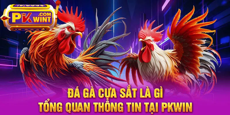 Đá Gà Cựa Sắt Là Gì - Tổng Quan Thông Tin Tại PKWIN