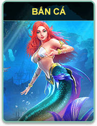 ban-ca-nha-cai-pkwin